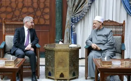 شيخ الأزهر يلتقي رئيس تحرير الأهرام ويثني على دورها التاريخي في تعزيز قضايا الوطن والأمة