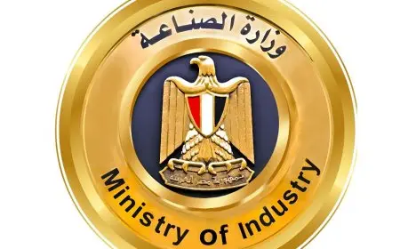 الصناعة توضح موقفها من الشائعات حول إلغاء بروتوكول الشحن الصيني للسيارات الكهربائية