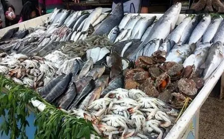 أسعار الأسماك في سوق العبور اليوم الاثنين البلطي بـ77 جنيه فقط