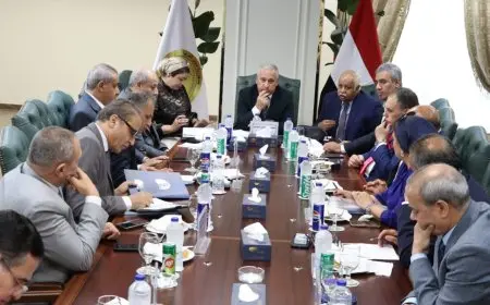 خطوات مبتكرة لإعادة هيكلة وتطوير المؤسسات الصحفية القومية بناءً على توجيهات الرئيس