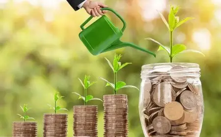 دور تمويل المشروعات الصغيرة في تعزيز النمو الاقتصادي وتوفير فرص العمل