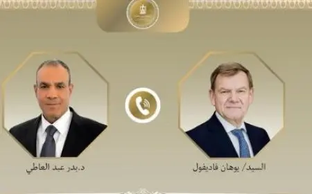 وزير الخارجية يناقش الأوضاع في غزة والملف النووي الإيراني مع نظيره الألماني