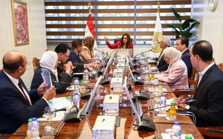 وزيرة التنمية المحلية تدعو لتعزيز الخدمات التمويلية والتأمينية في المحافظات لتحسين مستوى المعيشة