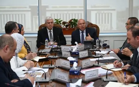 مباحثات هامة بين وزارتي النقل والتعليم العالي لإنشاء جامعة النقل المصرية الجديدة