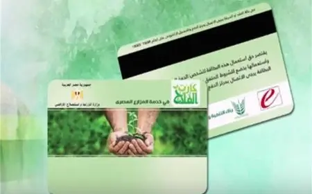 برلماني يطالب بزيادة فوائد كارت الفلاح لتحفيز الزراعة في البلاد