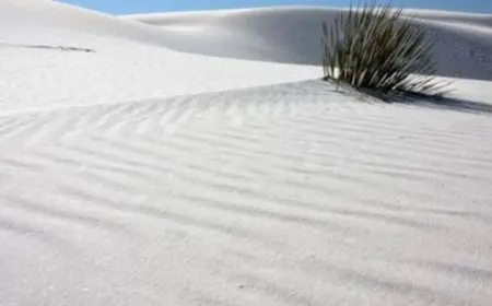 حجم سوق الرمال البيضاء في العالم يصل إلى 12.9 مليار دولار في 2024 وفقًا لمعلومات الوزراء