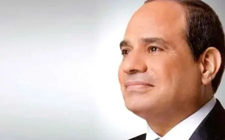 الرئيس السيسي يعلن عن قانون جديد لتنظيم استغلال خام الذهب والمعادن في منطقة السكري