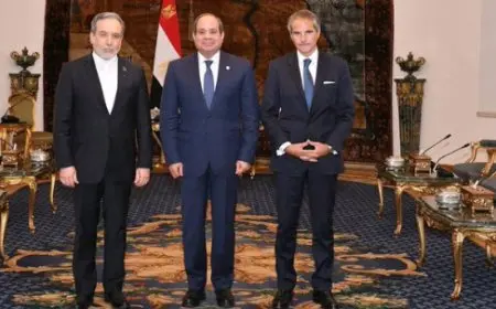 إيران تقدّر مصر لدورها الحاسم في تسهيل الاتفاق مع الوكالة الدولية للطاقة الذرية وتعزيز السلام الإقليمي