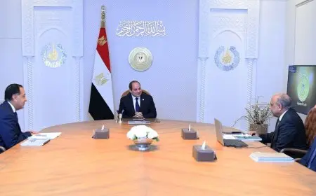 الرئيس السيسي يراقب تطوير ودعم الشبكة القومية للكهرباء لضمان مستقبل مستدام