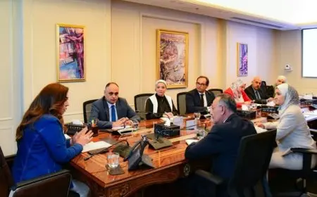 التنمية المحلية تكشف عن حصول المتحف المصري الكبير على شهادة المتاحف الصديقة للبيئة