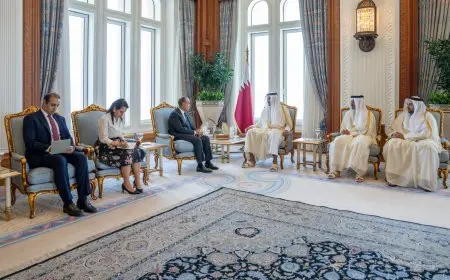 وزير الخارجية يلتقي أمير قطر يكشف تفاصيل رسالة الرئيس السيسي لتميم بن حمد