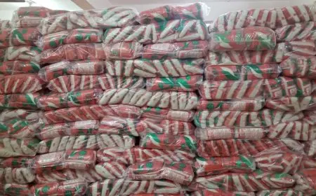 محافظ الجيزة يكشف عن ضبط 2258 قضية تموينية و635 طن من المواد المخالفة خلال حملات مباحث التموين