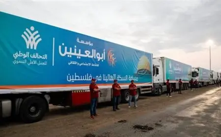 أبو العينين يؤكد على تجاهل إسرائيل للقانون الدولي ومصر تقدم 70% من المساعدات لدعم غزة