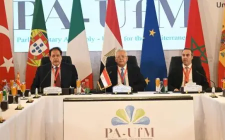 أبو العينين يحذر من أخطر لحظات التاريخ ويؤكد أن الرئيس السيسي وضع خارطة طريق لإحلال السلام في المنطقة