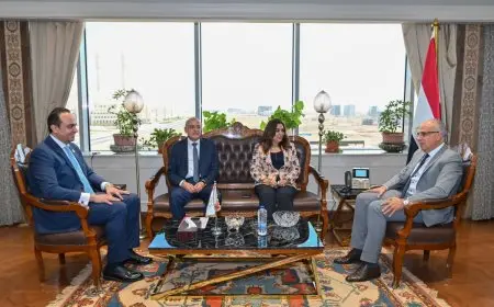 وزيرا الرى والتنمية المحلية يناقشان المشاريع المخطط تنفيذها في المحافظات النيلية