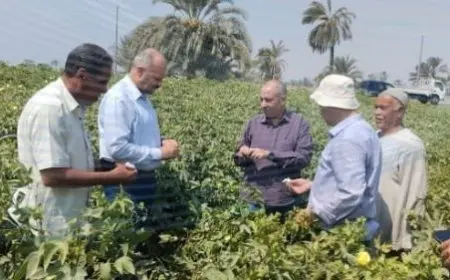 اكتشاف مذهل المصريون القدماء ابتكروا تكنولوجيا زراعية متطورة قبل 10000 عام