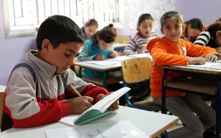 أسعار الكتب للمدارس الرسمية والمتميزة للغات في العام الدراسي 2025-2026 تكشف مفاجآت جديدة