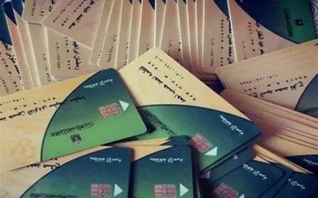 خطوات بسيطة لإضافة المواليد على بطاقة التموين 2025 والفئات المستحقة لذلك