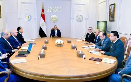 الرئيس السيسي يرحب برؤساء شركات سكاتك النرويجية وصنجرو الصينية لتعزيز التعاون الاستثماري