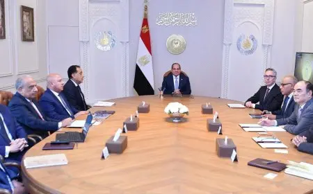 الرئيس السيسي يشدد على أهمية تعزيز التعاون مع شركة سكاتك ومجموعة صنجرو لتحقيق التنمية المستدامة