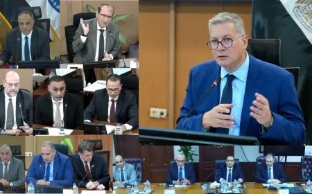 وزير البترول يعلن اعتماد نتائج أعمال شركة الفرعونية للبترول للعام المالي 2024-2025