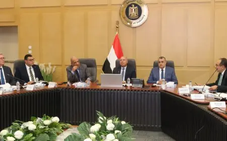 رئيس الوزراء يعقد اجتماعًا حاسمًا مع المجلس الأعلى للطاقة لتعزيز استراتيجية الطاقة الوطنية