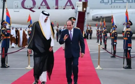 الرئيس السيسي وأمير قطر يتعاونان لوضع رؤية موحدة لتعزيز الأمن القومي العربي