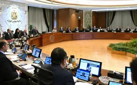 مجلس الوزراء يعتمد 14 قرارا هاما في جلسة الأسبوع الحالي