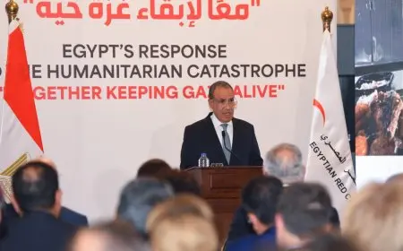 الخارجية المصرية تنظم فعالية بعنوان استجابة مصر للكارثة الإنسانية في غزة معًا لإبقاء الأمل حيًا