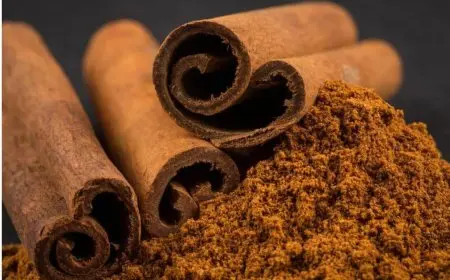 القرفة العيدان vs الأكياس الجاهزة استشاري مناعة يكشف الفوائد والأضرار