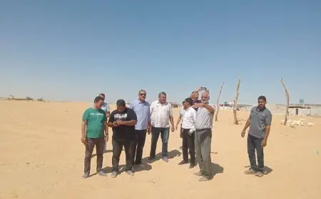 وزارة الرياضة تطلق مشروع إنشاء مدينة شبابية مميزة في واحة سيوة