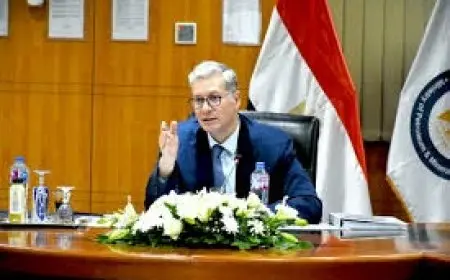 تنفيذ مسح جوي لأول مرة منذ 40 عامًا يكشف فرص التعدين الواعدة في مصر