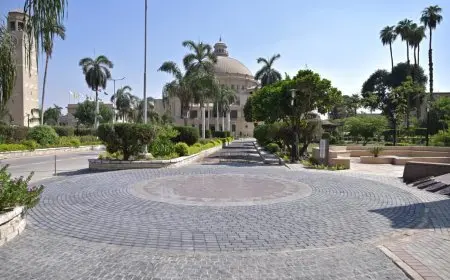 مجلس جامعة القاهرة يدشن المرحلة الأولى من مشروع تطوير الحرم الجامعي وتجديد النصب التذكاري لشهداء الجامعة