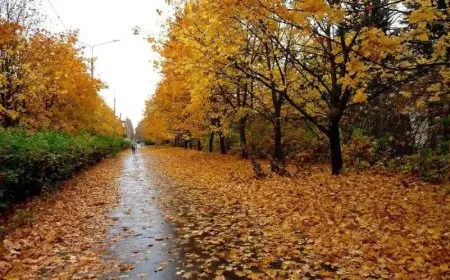 استعدوا للتغيير موسم الخريف يبدأ في مصر في 2025