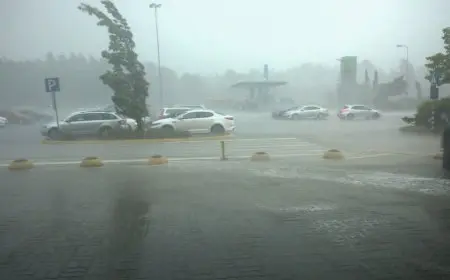 الأرصاد الجوية تحذر من اضطراب الملاحة في 8 مناطق غدا مع ارتفاع الموج إلى 3 أمتار