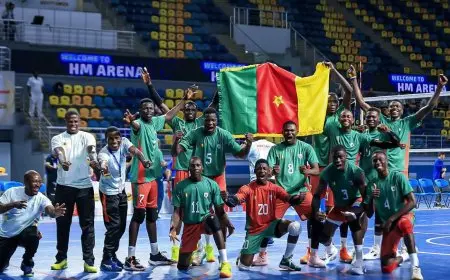 الكاميرون تتأهل للنهائي لمواجهة مصر في بطولة إفريقيا لشباب الكرة الطائرة