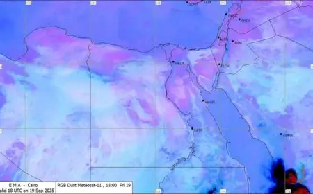 الأرصاد الجوية تحذر من هطول الأمطار والرياح القوية على السواحل الشمالية