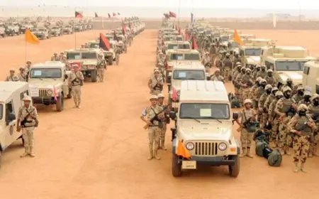 أستاذ علوم سياسية يفجر مفاجأة حول تداعيات انتشار الجيش في سيناء