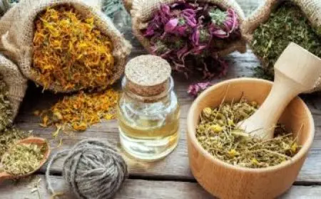 الفريق أول عبد المجيد صقر يجتمع مع وزير دفاع البوسنة والهرسك لتعزيز التعاون الأمني