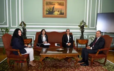 وزير الخارجية يرحب برئيسة المجلس القومي للمرأة في زيارة رسمية