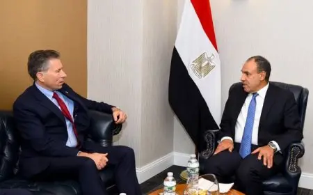 وزير الخارجية يؤكد أن مصر ساهمت بـ 70% من مجموع المساعدات لغزة رغم التحديات الإسرائيلية