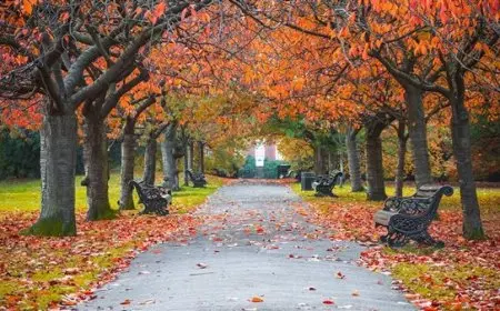 وداعًا للحرارة والتكييفات الأرصاد تعلن بدء فصل الخريف وانتهاء الصيف اليوم