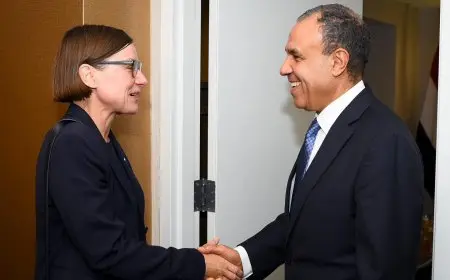 جهود مصر تحت قيادة وزير الخارجية لوقف الحرب في غزة مع رئيسة اللجنة الدولية للصليب الأحمر