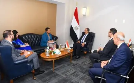 وزير الخارجية يعقد اجتماعًا مع المديرة التنفيذية للآلية الأفريقية لمراجعة النظراء لتعزيز التعاون الأفريقي