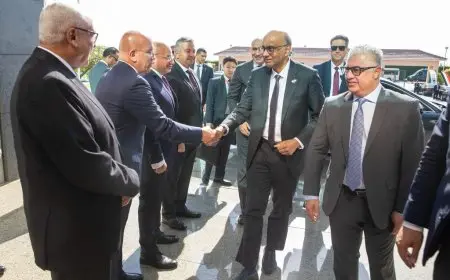 زيارة الرئيس السنغافوري لمقر الهيئة العامة للمنطقة الاقتصادية لقناة السويس تعزز التعاون الاقتصادي