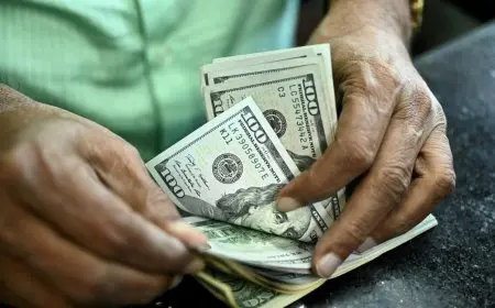 تحديثات سعر الدولار مقابل الجنيه المصري اليوم الثلاثاء في البنوك الحكومية والخاصة