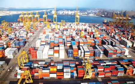 الإحصاءات تكشف عن 25.3 مليون دولار قيمة التجارة بين مصر وروندا في النصف الأول من 2025