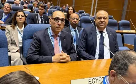 وزير الطيران يؤكد أن الاستدامة والسلامة والأمن الدولي هما ركيزتا التطور المستقبلي