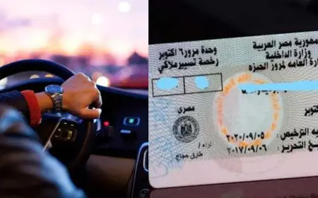 تعرف على الشروط الجديدة لاستخراج رخصة القيادة المهنية في 2023