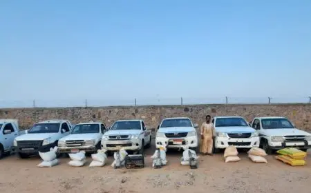 القوات المسلحة تعزز جهودها في جميع الاتجاهات الاستراتيجية لتعزيز أمن الدولة